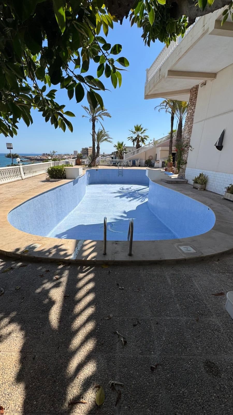 Der frisch beschichtete Pool, gesehen unter dem Baum an der Terrasse