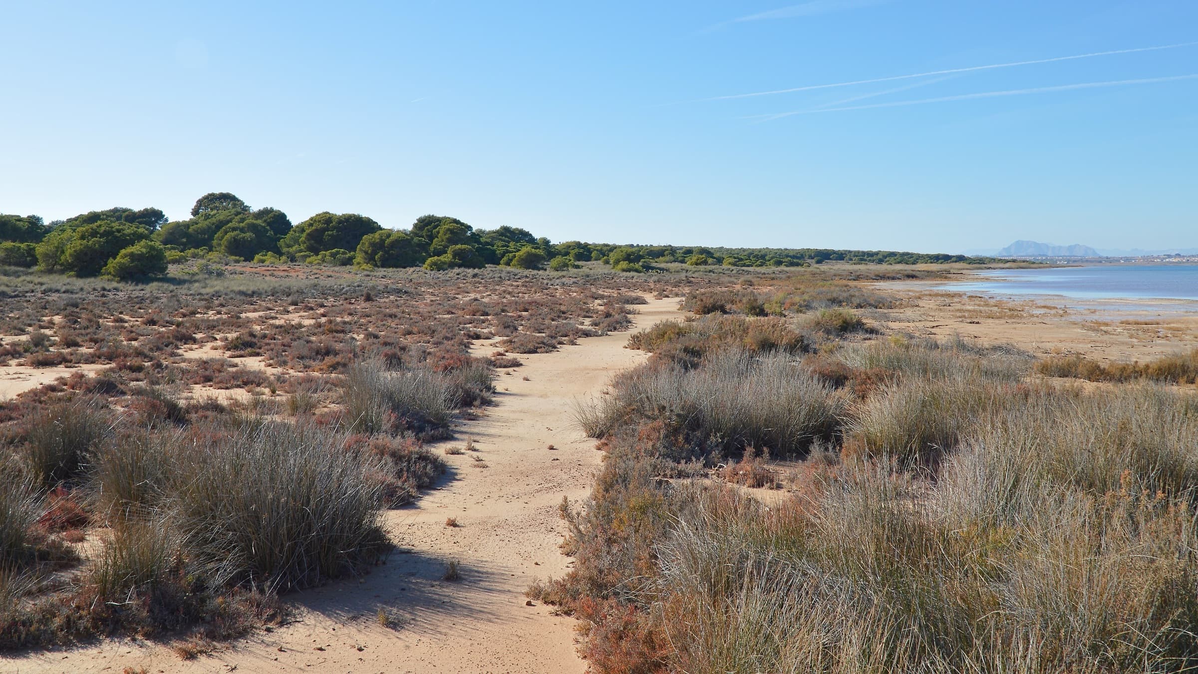 Laguna de La Mata